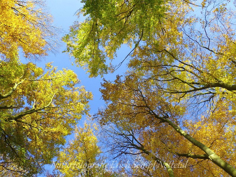 Herbststimmung Naturpark Maas Schwalm Nette